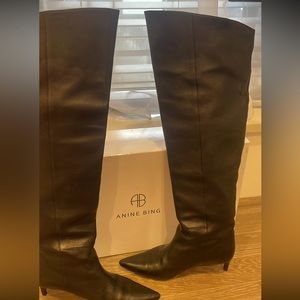 Anine Bing knee leather high boots